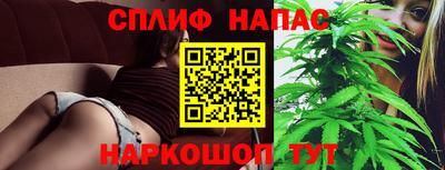 мяу мяу мука Кингисепп
