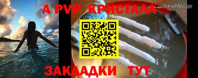 мяу мяу мука Кингисепп