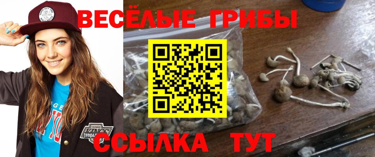 магазин  наркотиков  Вход с VPN  Сатка  Галлюциногенные грибы GOLDEN TEACHER 