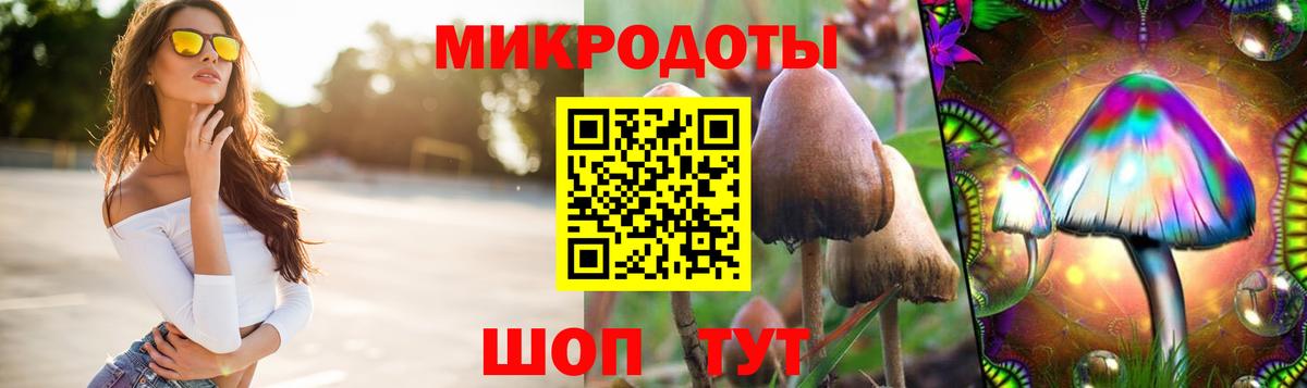Галлюциногенные грибы мухоморы Сатка